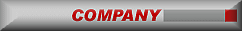 GIS Company
